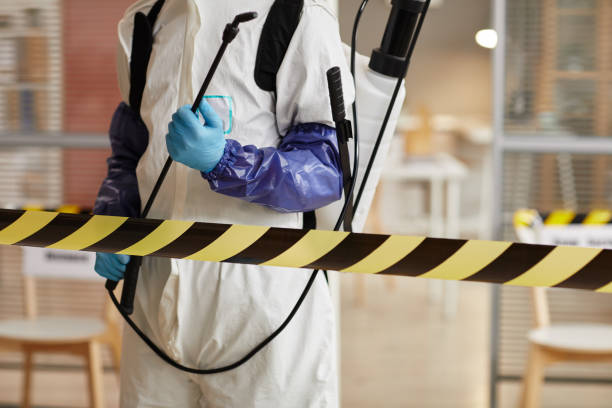Professional Sewage Cleanup technician working in Plymouth, NH